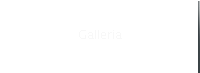Galleria